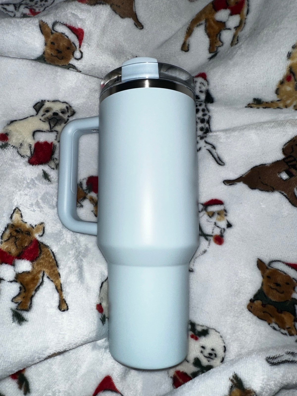 Starbucks stanley blue spring tumbler