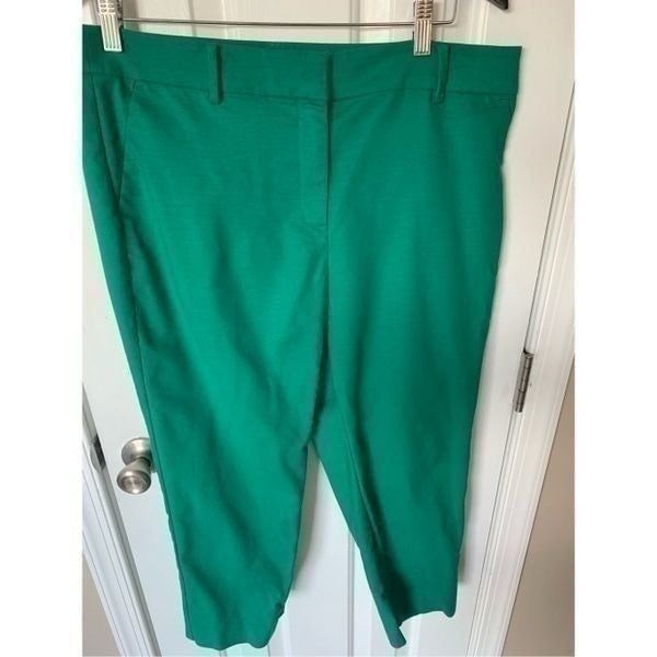 Loft green size 12 petite curvy dress pants skinny