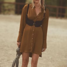 NWT Anthropologie Pilcro Long-Sleeve Silky Mini Dress in Brown, Size 2
