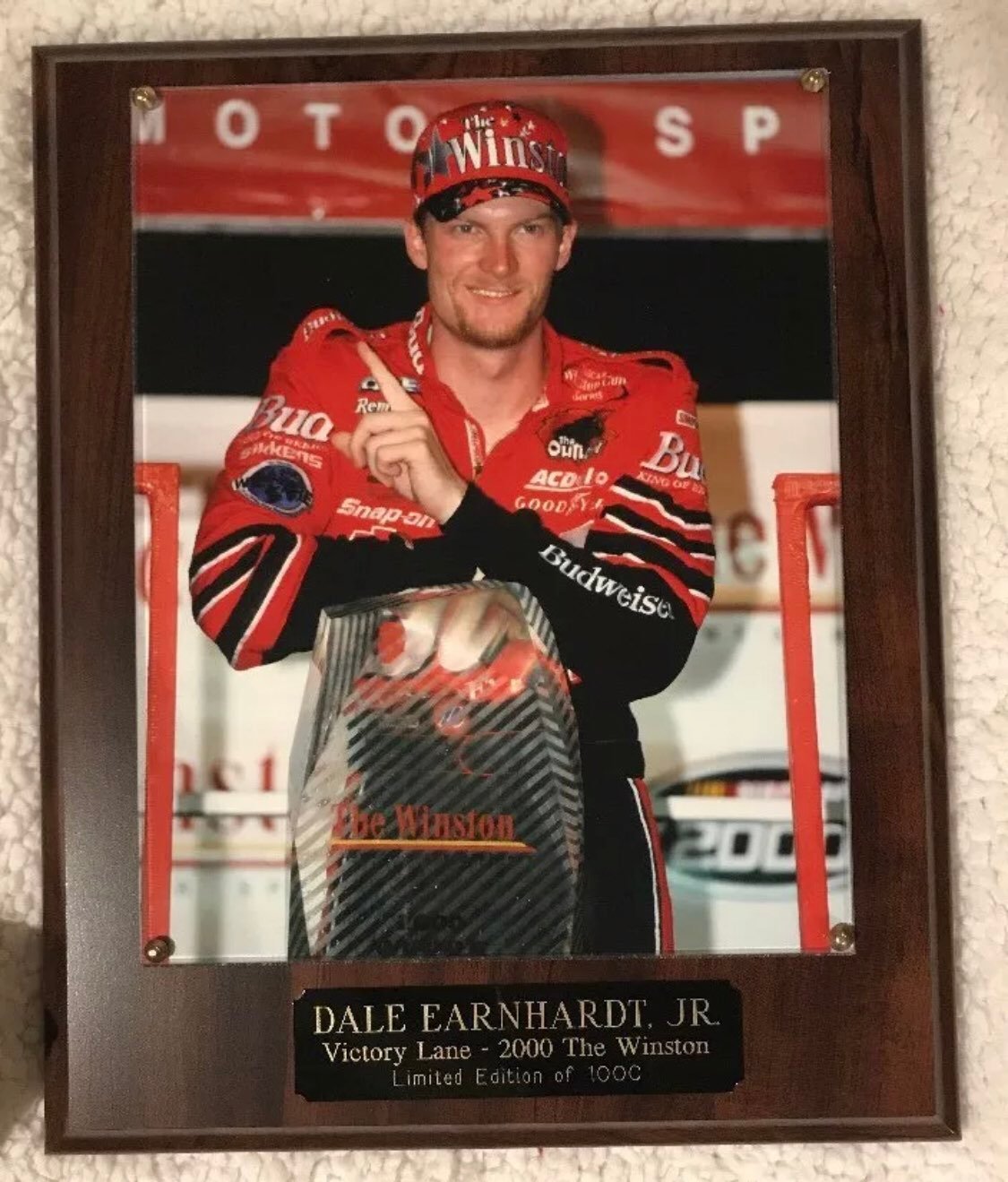 Dale Earnhardt, JR.