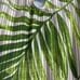 Vince Camuto Tropical Green Plunge One Piece Size 12