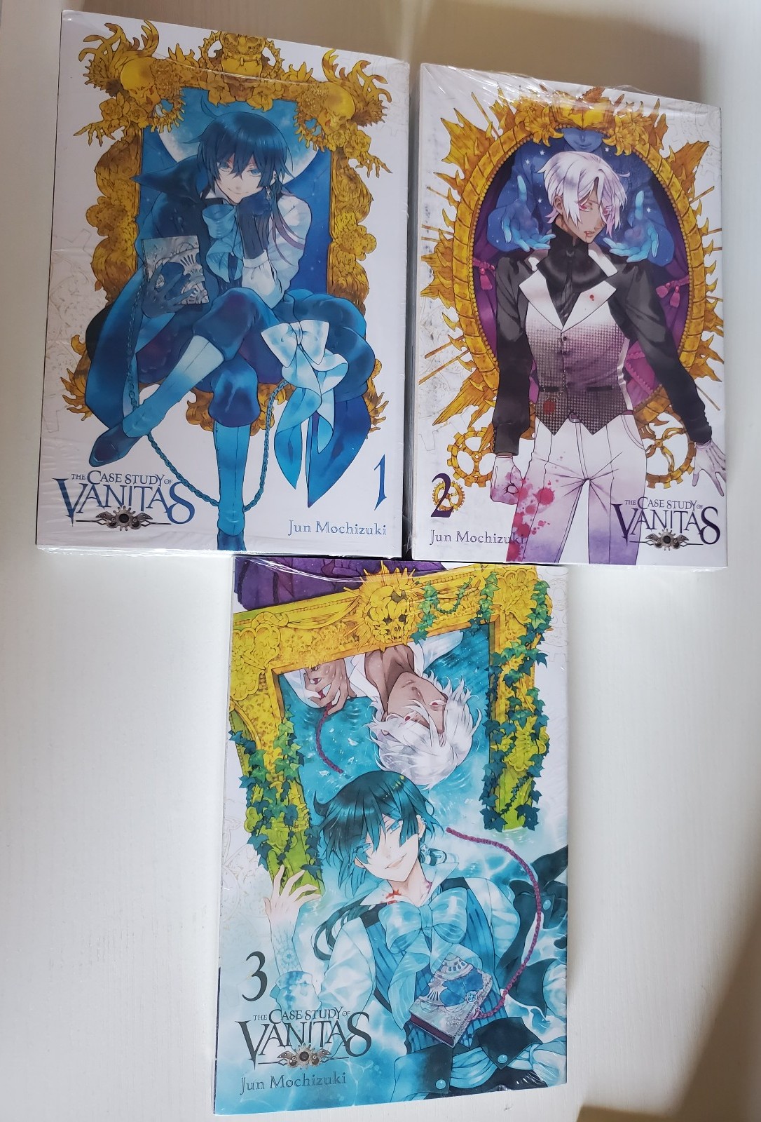 Case Study of Vanitas Manga lot