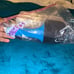 NAIL SUPPLIES