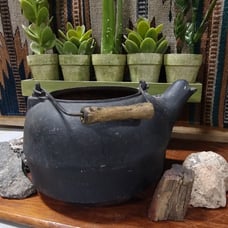 Vintage tea kettle flower pot