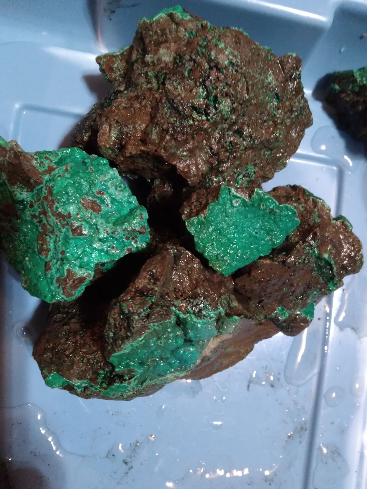 turquoise in host rock