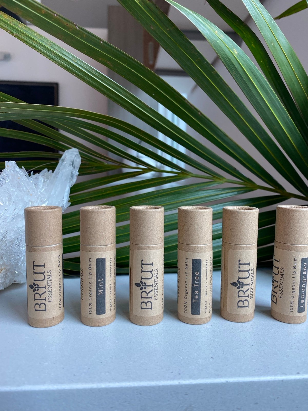 Organic Healing Lip Balm | All Natural, Cruelty Free & Nourishing - Pack of 6