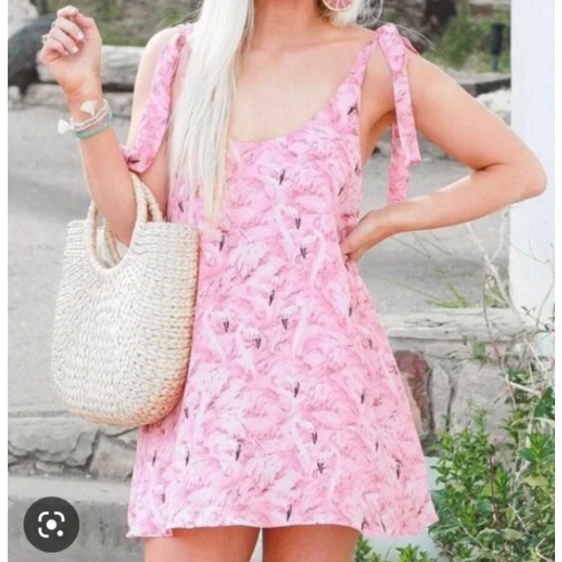 Buddy Love Kerr Mini Dress Women's Small Pink Flamingo Tie Shoulder Sleeveless