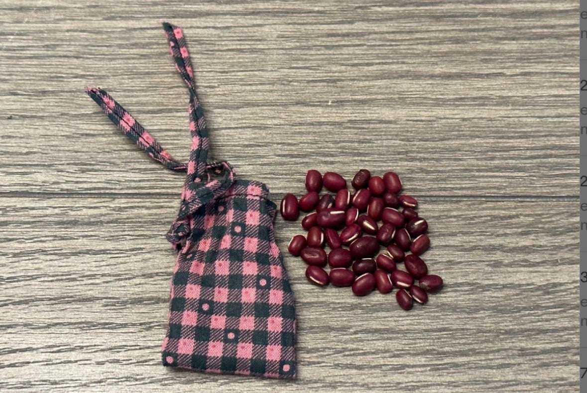 American Girl Addy Retired 18 Doll Winter Fun Beans with Bag ONLY PC