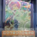 Pokemon TCG Tyranitar Ex Premium Collection