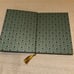 Disney Parks The Frog Prince Journal