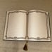 Disney Parks The Frog Prince Journal