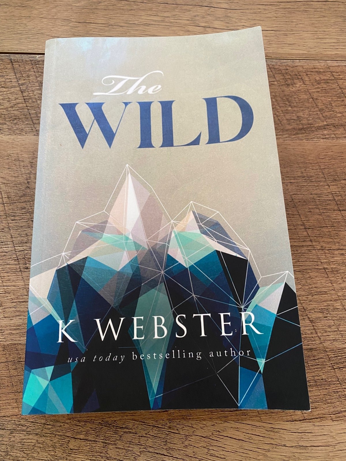 Dangerous Romance The Wild by K. Webster