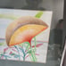 Abanico, Fan Orange Flower Colored Pencil Seashore Picture By Nelson, Signed