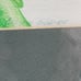 Abanico, Fan Orange Flower Colored Pencil Seashore Picture By Nelson, Signed