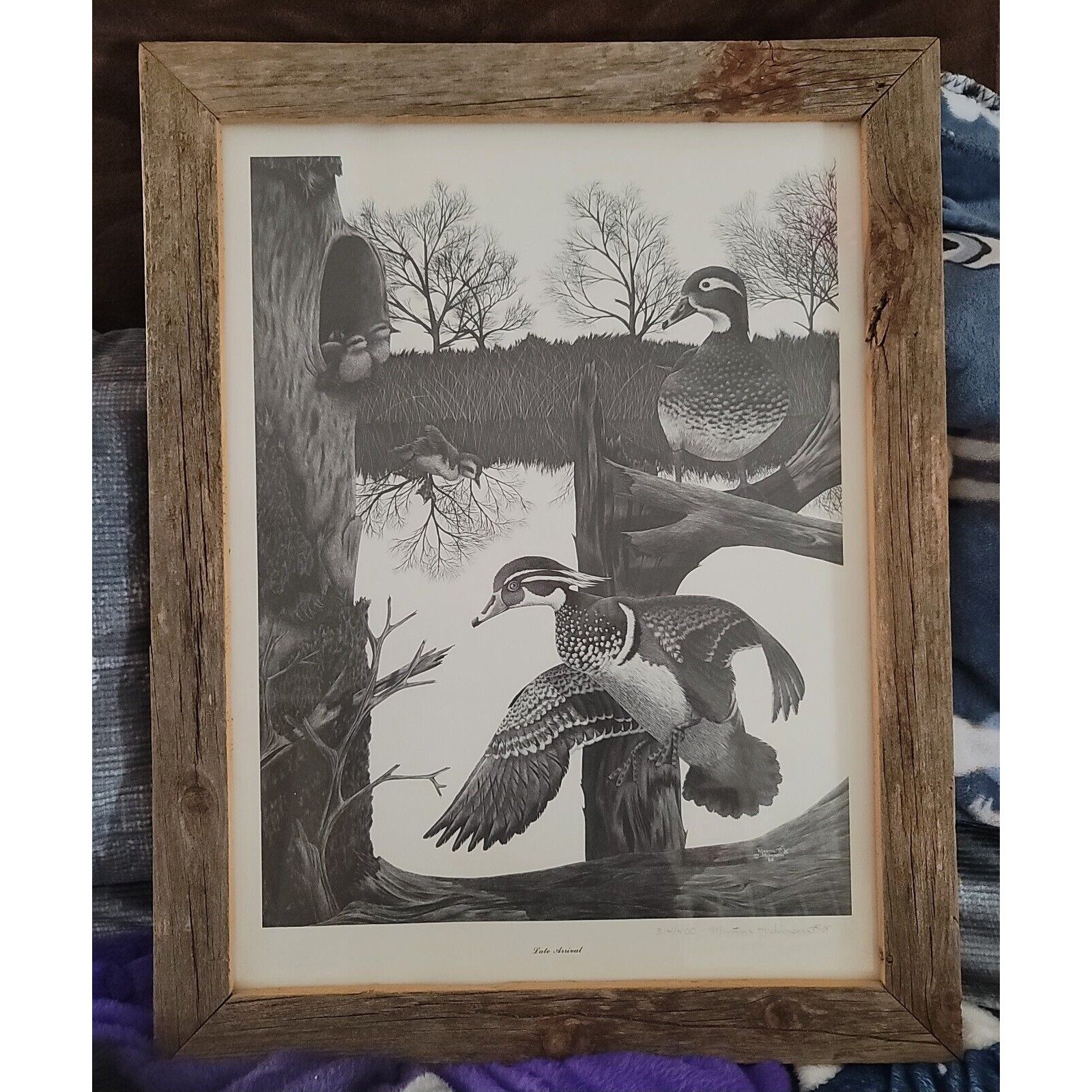 Original Signed Lithograph Etching of Ducks By Martin Hoskinson Late Arrival