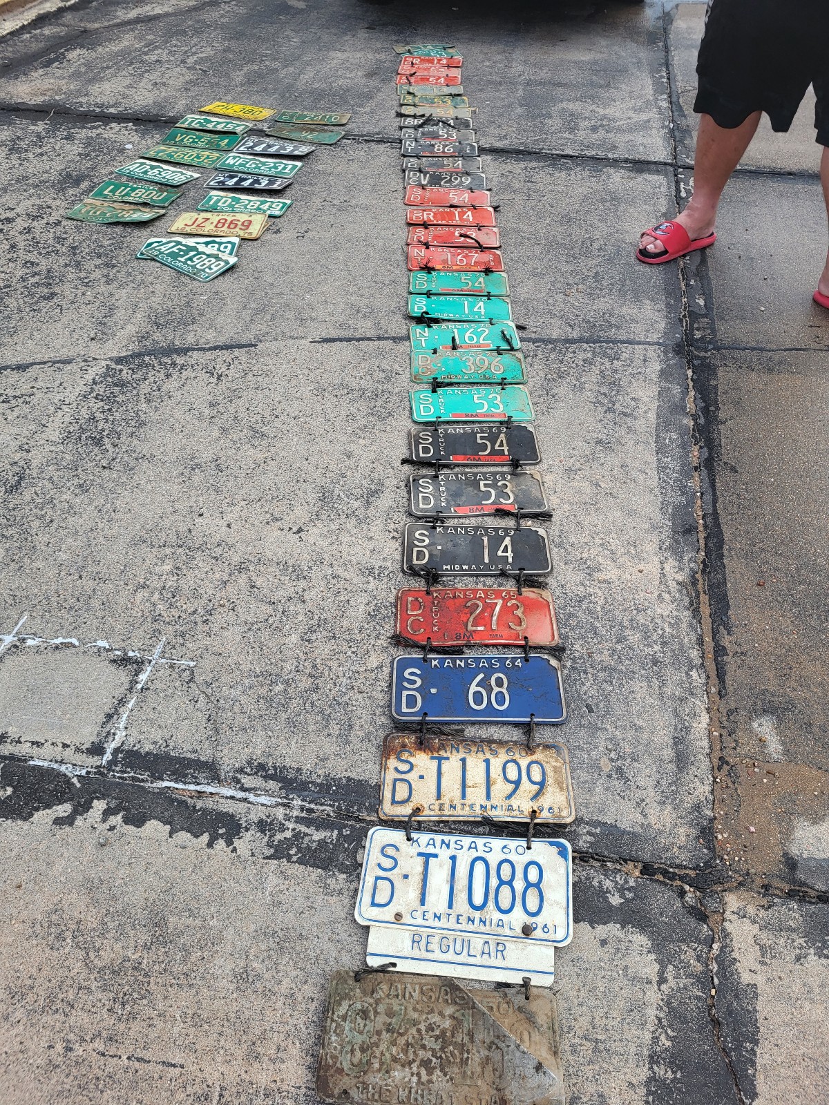 Kansas license plates all tied together by date