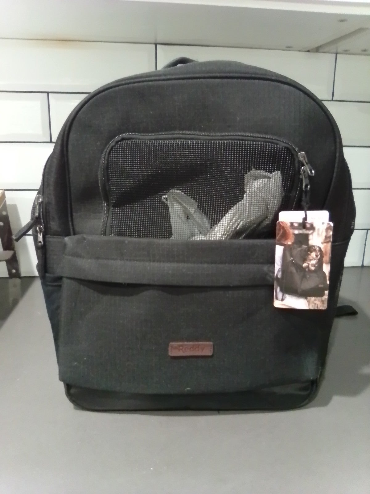 Dog carrier backpack