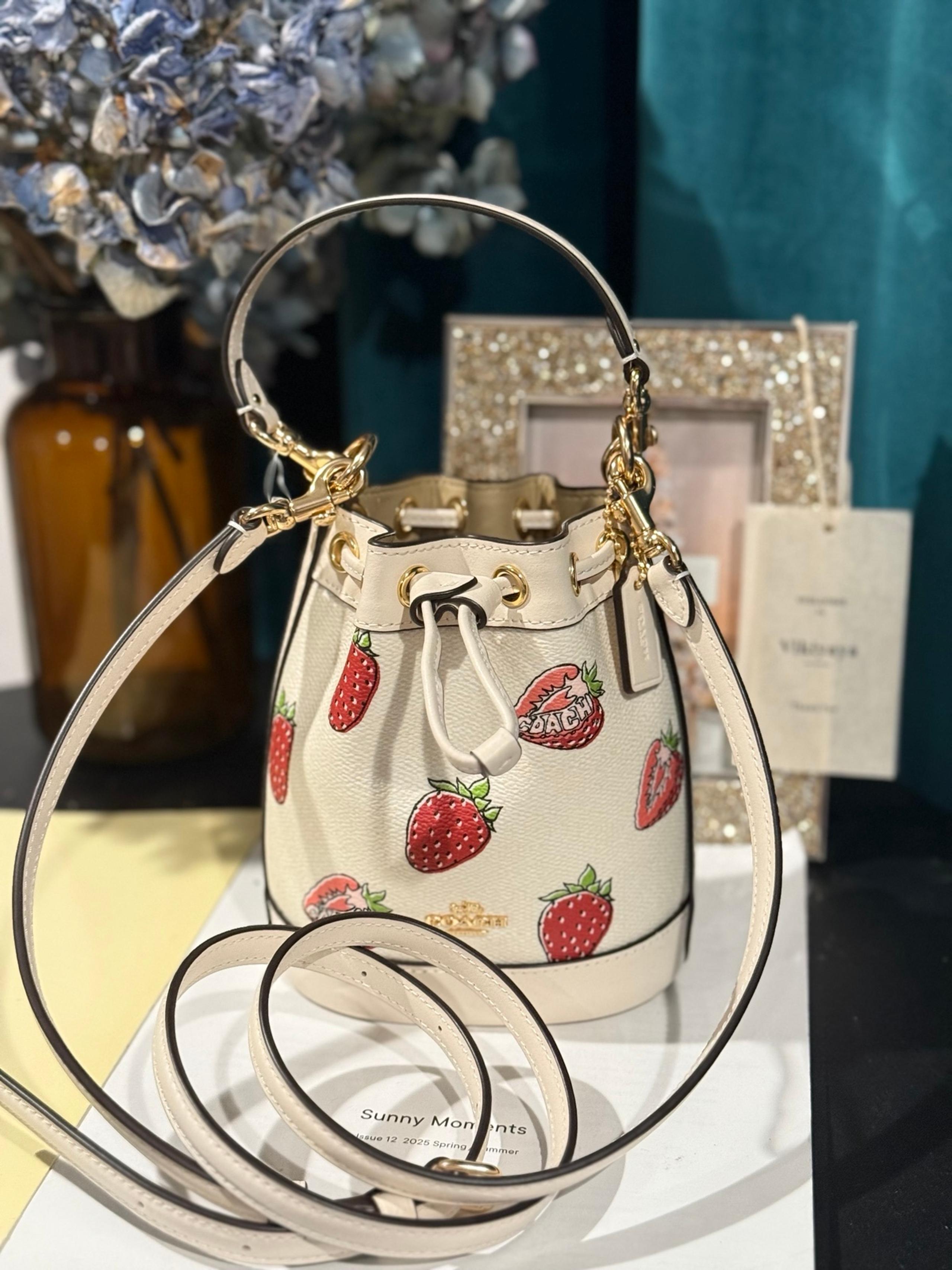Mini Bucket Bag With Strawberry Print NWT - Coach