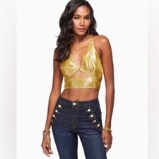 NWT Ramy Brooke silk Exclusive Adriana metallic crop top size 6