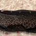 leopard cheetah print spiked panties shaped coin pouch