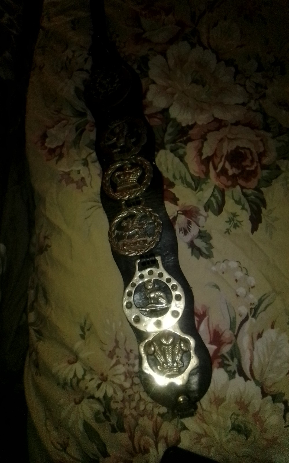 Vintage horse belt
