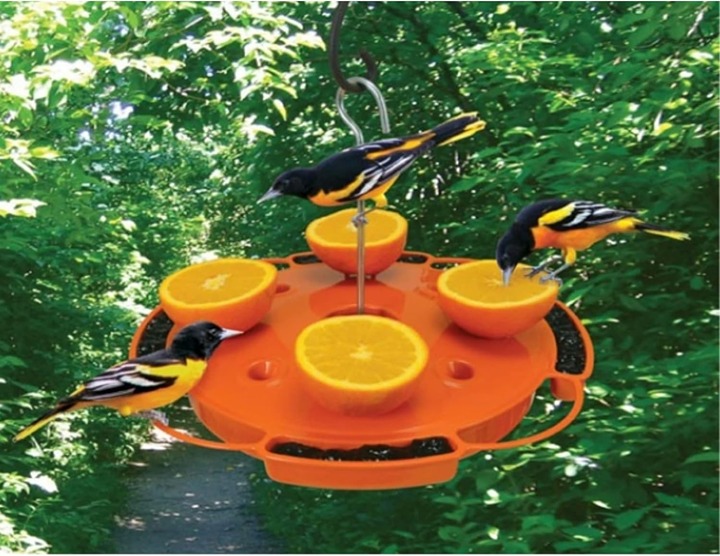 Oriole Feeder Bird Feeder Songbird Essentials Ultimate New