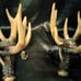 Resin deer antler candle holders