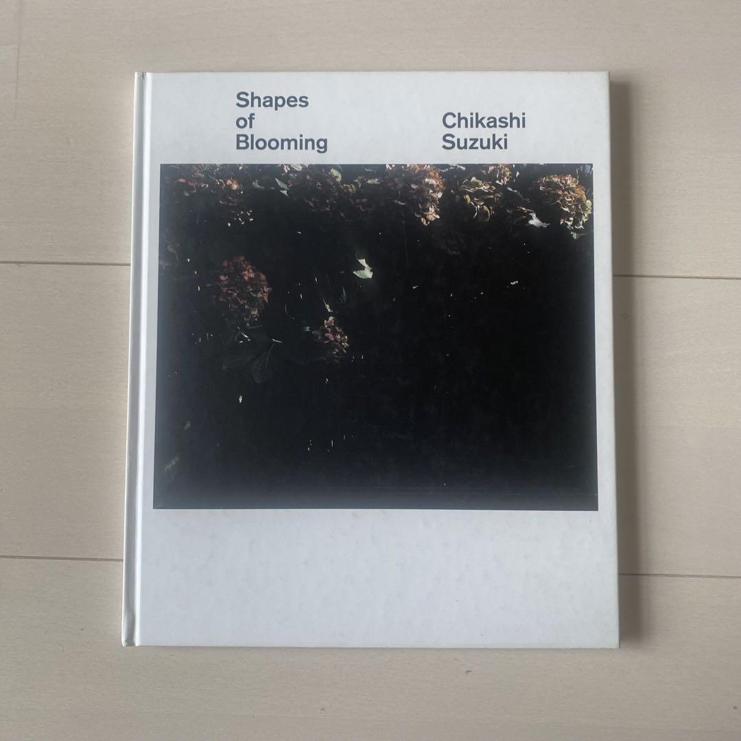 Suzuki Shin, Shapes of Blooming