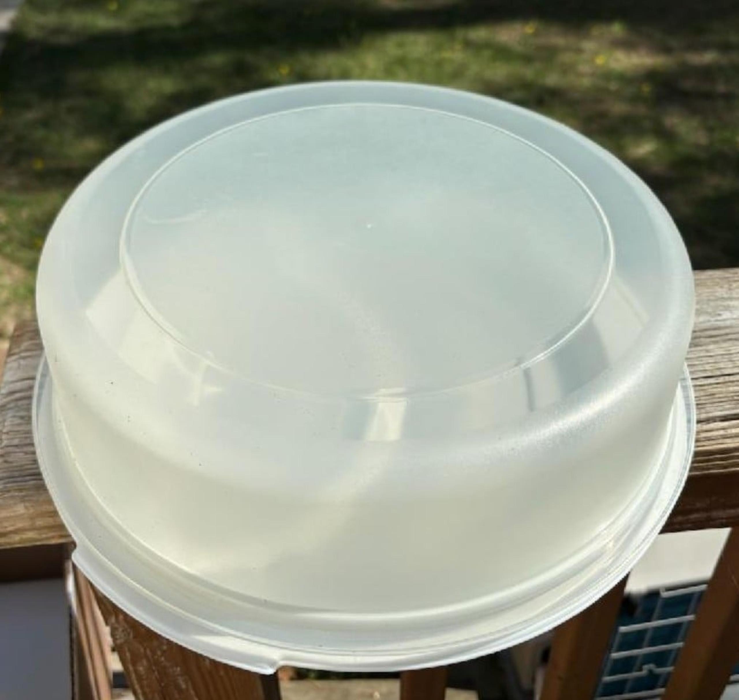 Rubbermaid Cake/Pie carrier