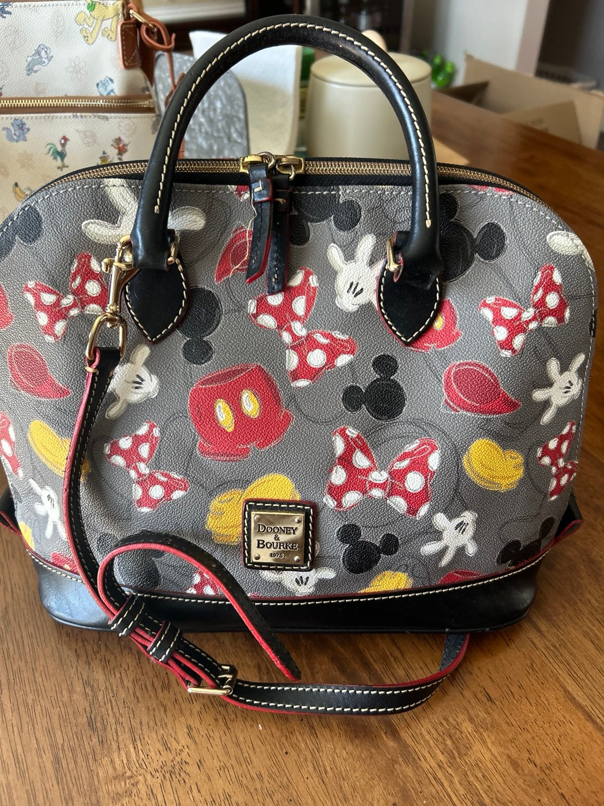 Dooney Disney Zip Zip