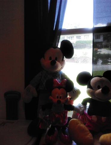 Tall Mickey Mouse and Minnie Mouse collection