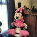 Tall Mickey Mouse and Minnie Mouse collection
