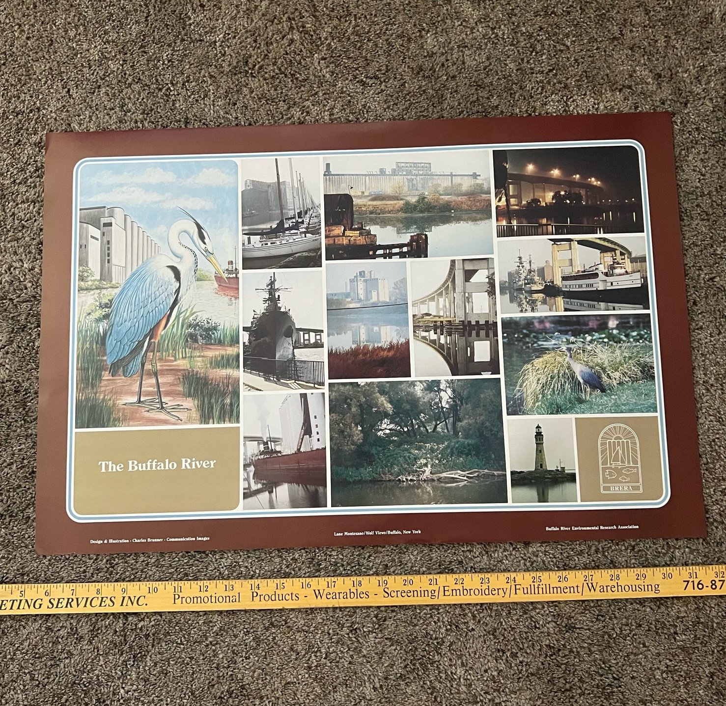 Vintage Buffalo NY City The Buffalo River Environment Wall Poster NEW