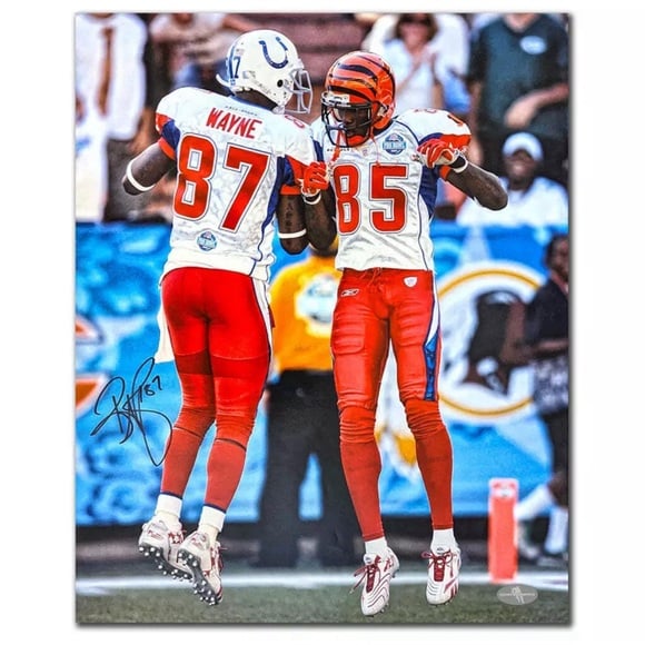 Reggie Wayne 2007 NFL Pro Bowl Indianapolis Colts Autographed 16x20
