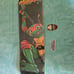 Bear Walker TMNT Mikey Skateboard