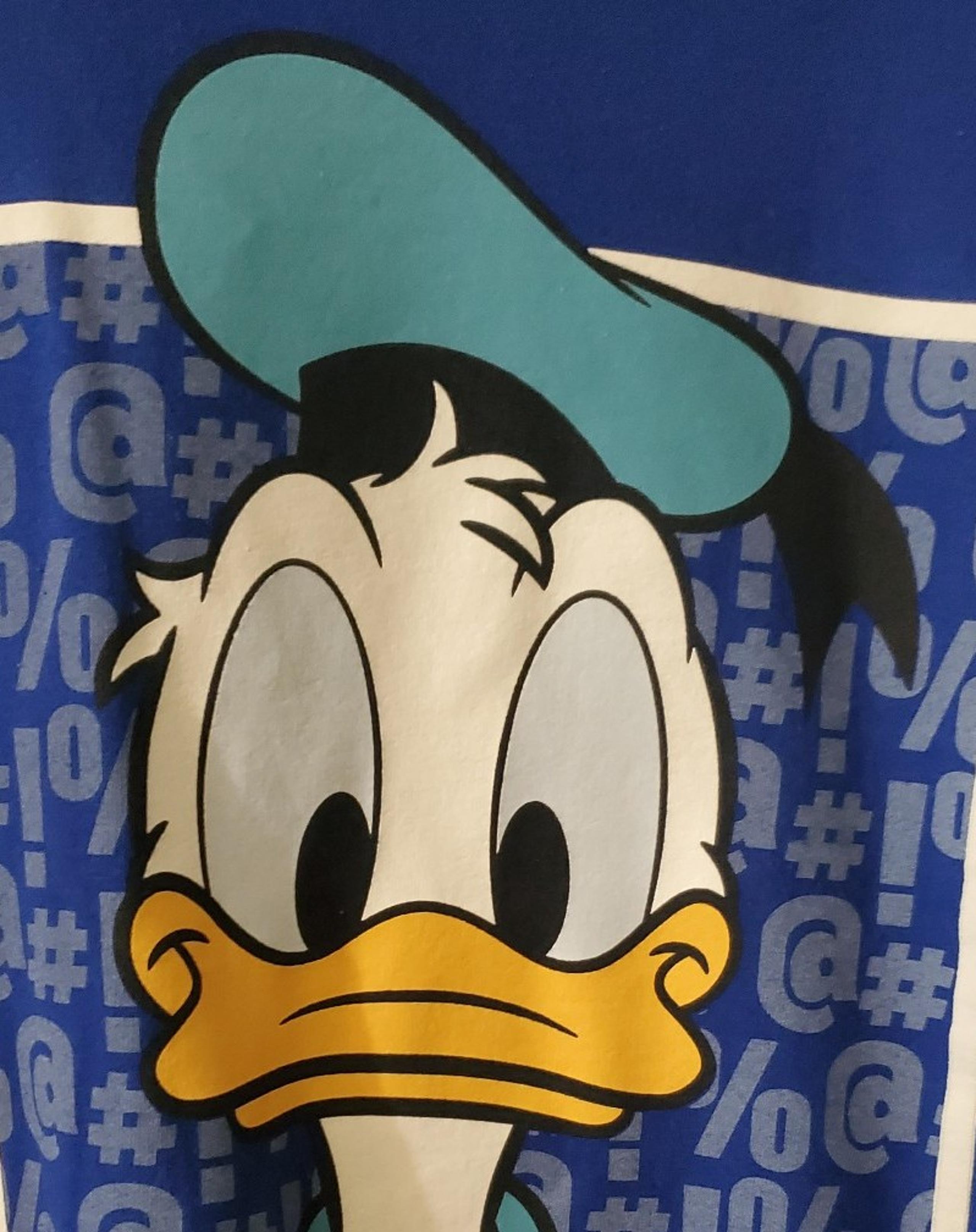 Disneyland walt disney world hanes men’s Donald Duck sweatshirt medium blue