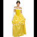 FAIRYTALE PRINCESS ADULT COSTUME