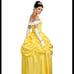 FAIRYTALE PRINCESS ADULT COSTUME