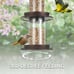 2-Tier Bird Feeder with Sure-Lock Cap and Hanging Hook, Wild Bird Feeders - 4.5