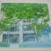 【Ultra Rare】White Clover Itaru Hino (with handwritten signature)