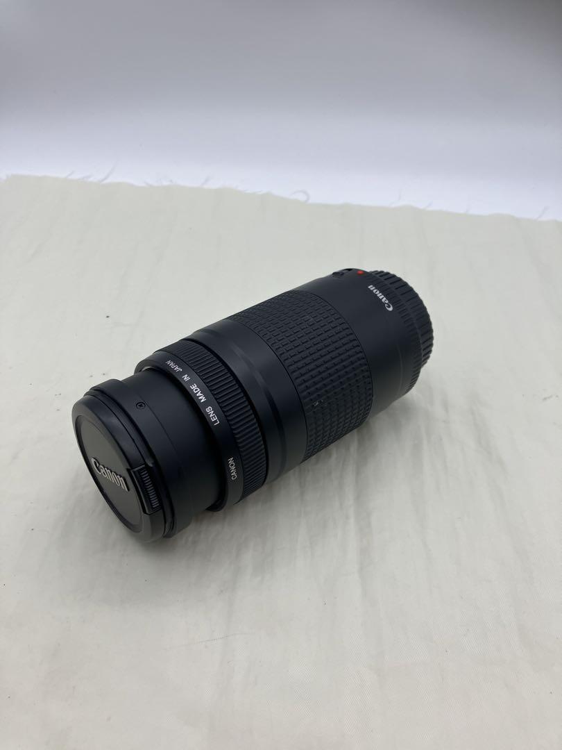 Canon ZOOM LENS EF 75-300mm 1:4-5.6