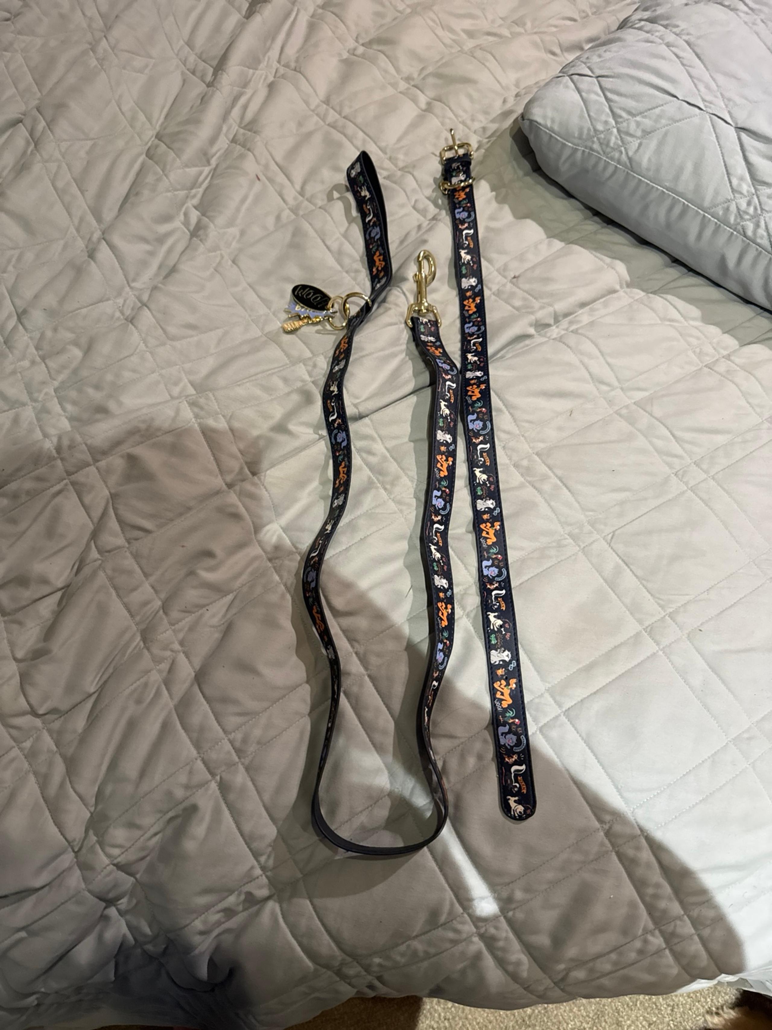 Disney leash and collar  lot of animals and cute accent tags