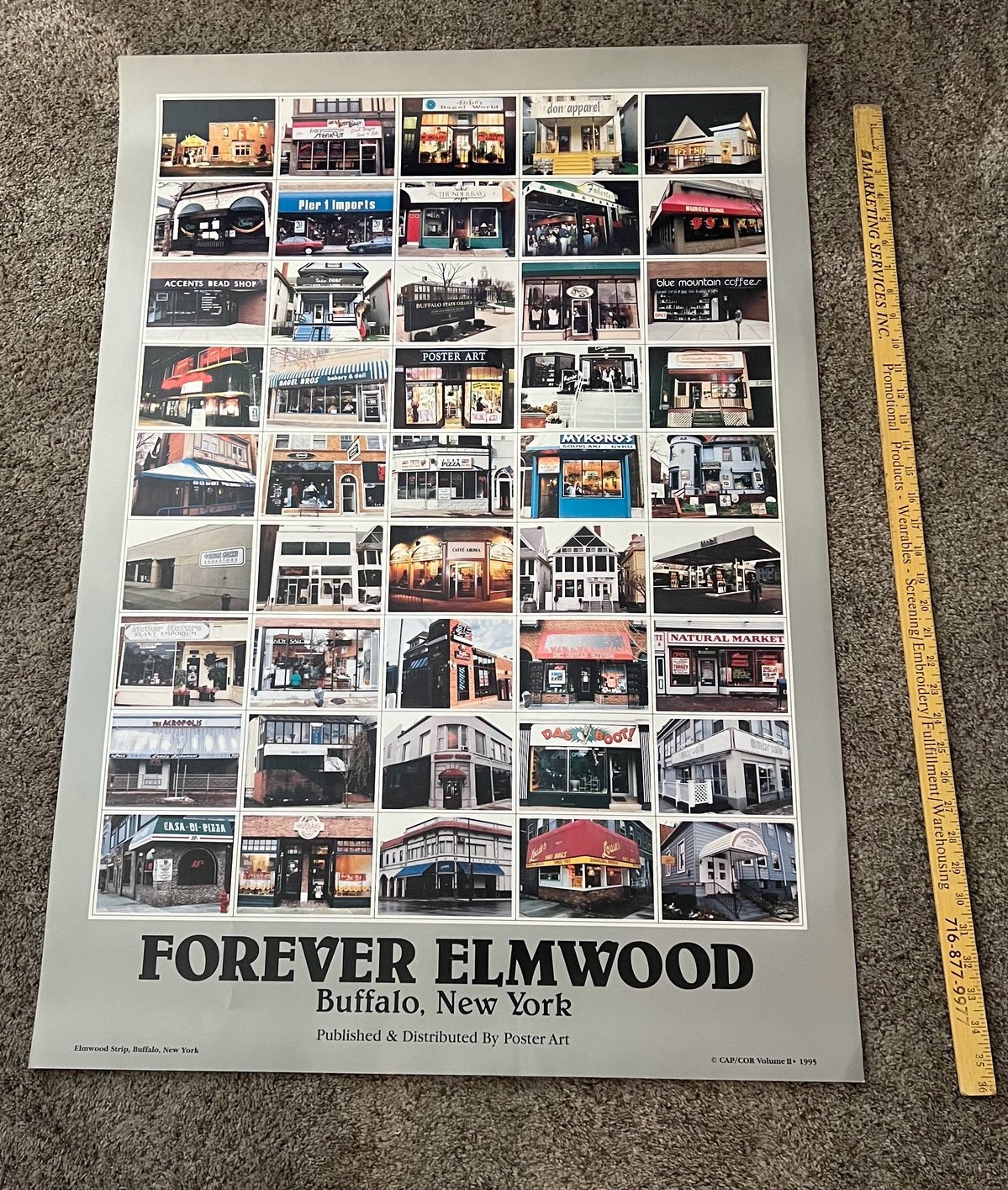 Vintage 1995 Buffalo NY Forever Elmwood Ave Avenue Shops Storefronts Poster NEW