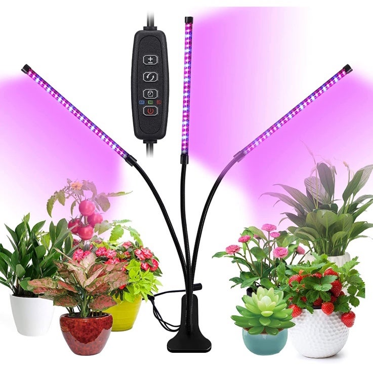 LED Grow Lights for Indoor Plants, Ful Spectrum Plant Grow Lights Gardening Syst