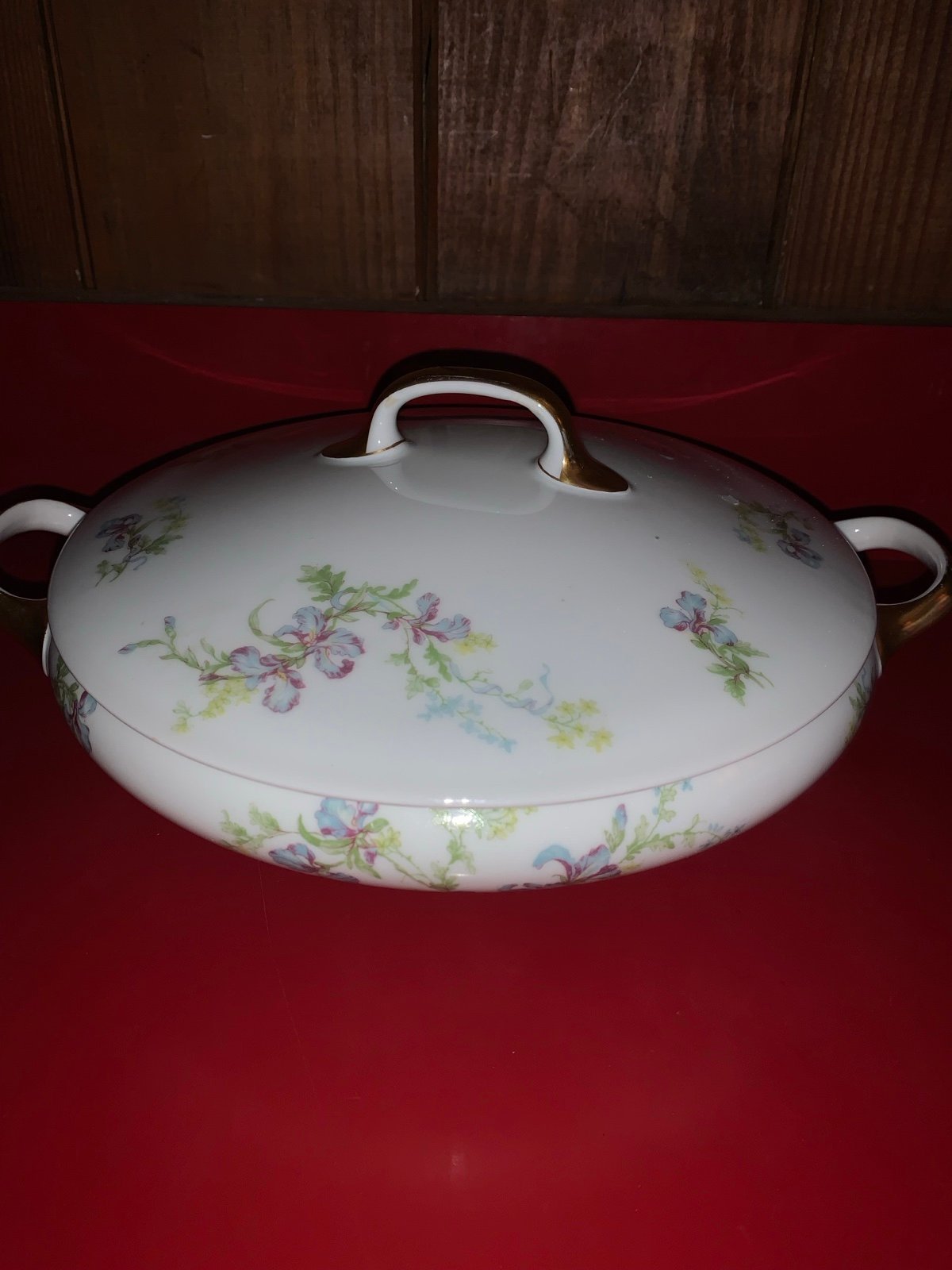 Old Abbey Limoges HC France Hand Painted Tureen