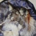 Wolf tire cover