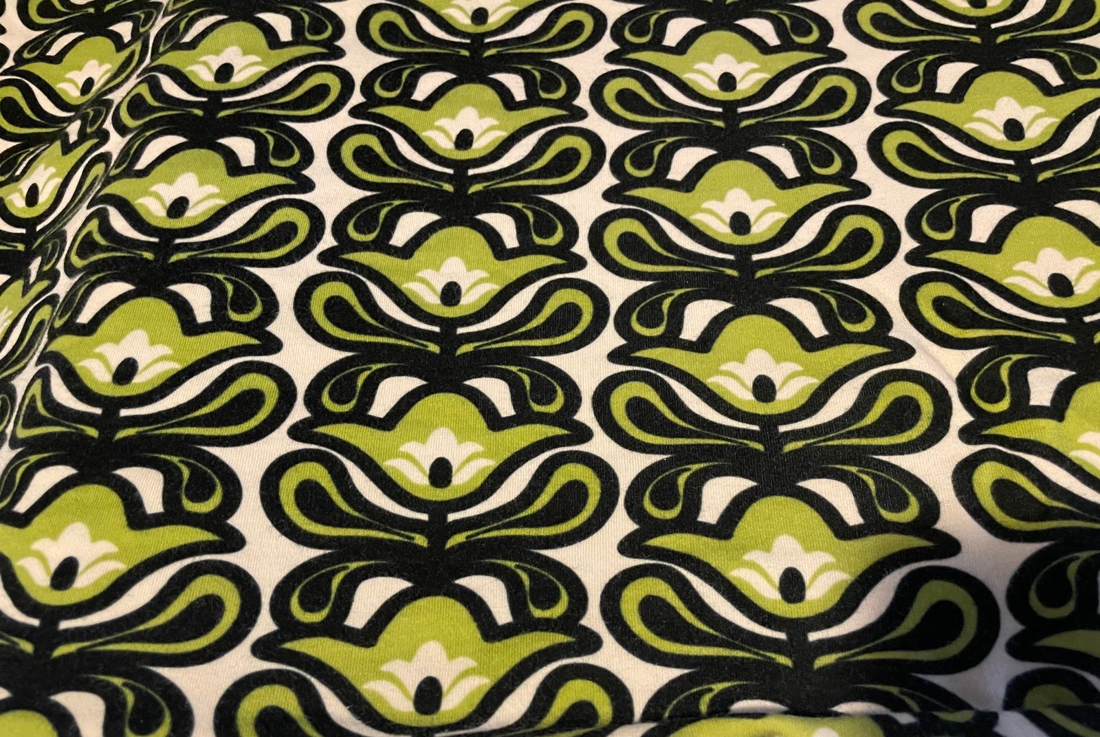 Petunia Pickle Bottom Blanket