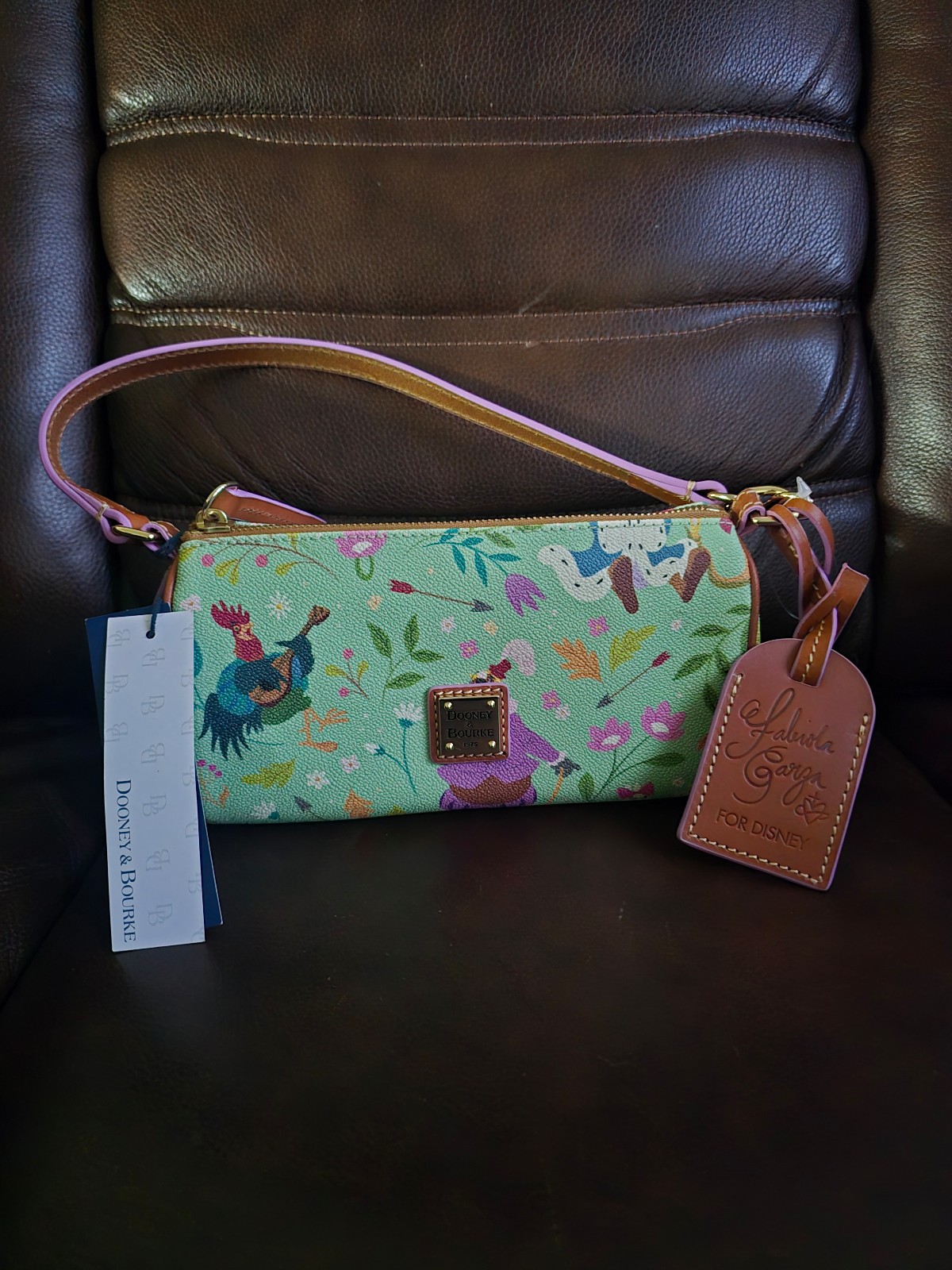 Disney Dooney and Bourke Robin hood purse