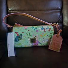 Disney Dooney and Bourke Robin hood purse