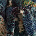 3' x 5' New Area Rug Blue H 25383 Home Decorative Art Soft Carpet Collectible